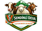 Şemdinli Deva Veteriner Kliniği